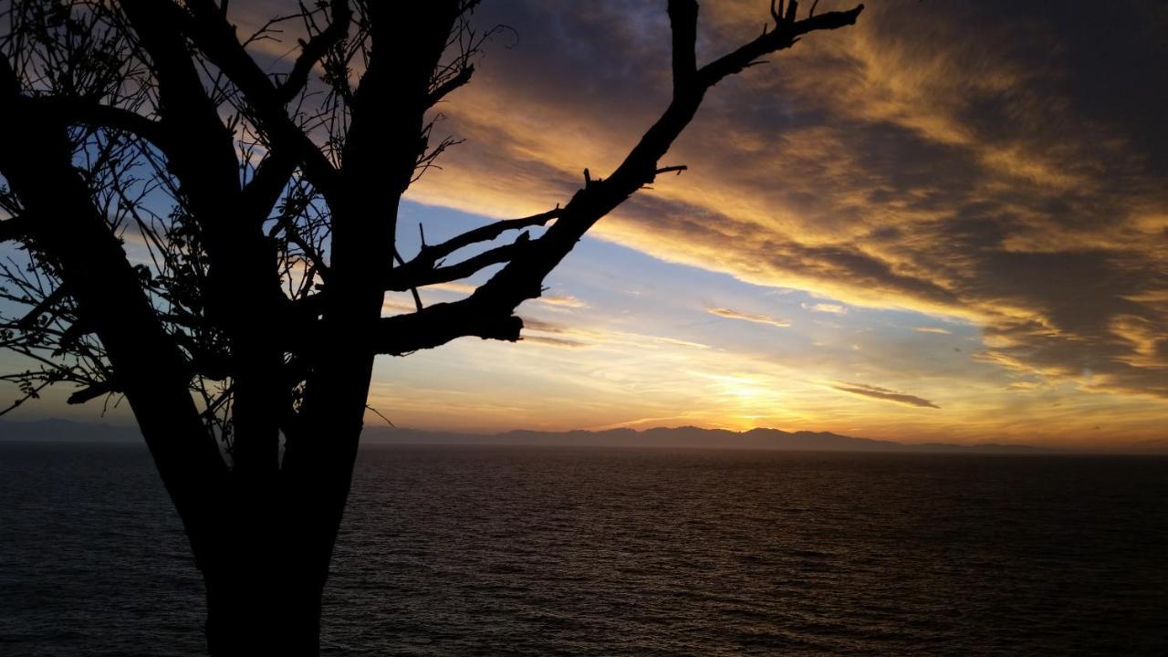 Appartamenti - Villa Mare Pomonte Buitenkant foto